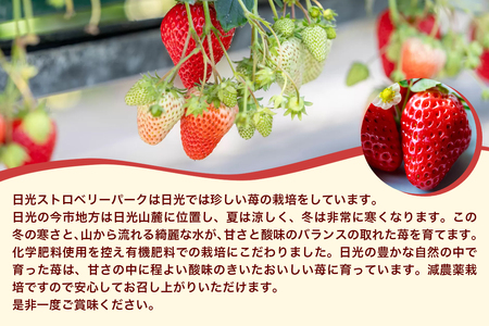 [先行予約]『スカイベリー』＆『とちあいか』食べ比べセット 270g×2パック (粒の大きさお任せ／大粒から中粒厳選) [2027年1月上旬より順次発送] [1031]