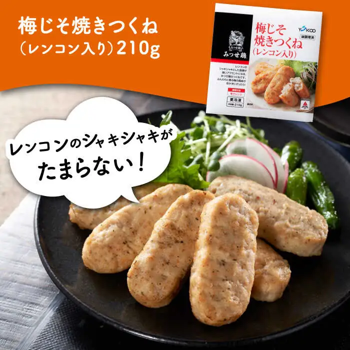 佐賀県産 みつせ鶏 冷凍食品 7種セット おかず  惣菜 冷食 [FAE170]