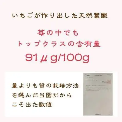 【先行予約】越後姫 いちご 雪国完熟 約170g×2P 越後姫 フルーツ
