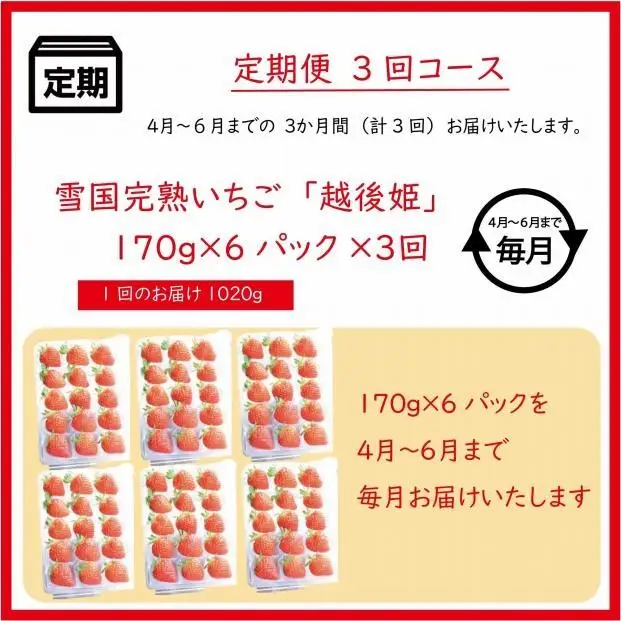 【先行予約 定期便3回】越後姫 いちご 雪国完熟 4〜6月 170g×6回 いちご