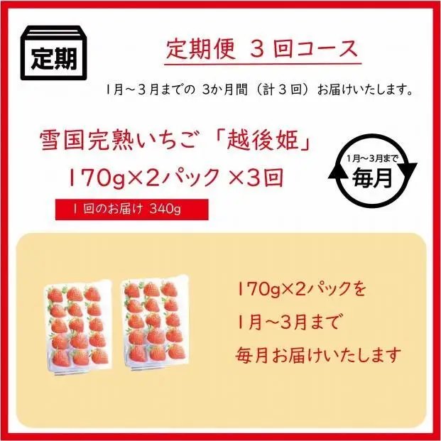 【先行予約 定期便3回】越後姫 いちご 雪国完熟 1〜3月 170g×2回 いちご