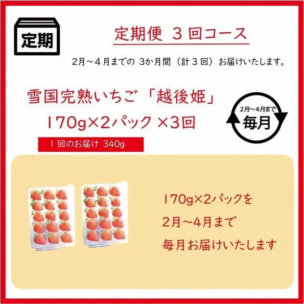 【先行予約 定期便3回】越後姫 いちご 雪国完熟 2〜4月 170g×2回 いちご