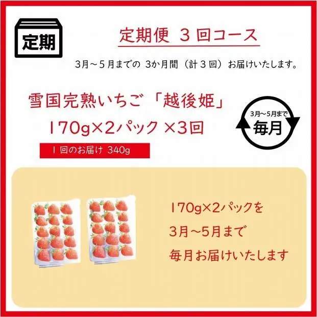 【先行予約 定期便3回】越後姫 いちご 雪国完熟 3〜5月 170g×2回 いちご