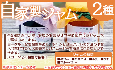 人気のスコーンと自家製ジャムの詰め合わせセット - スイーツ 焼き菓子 手作り 加工品 ジャム eh-0036