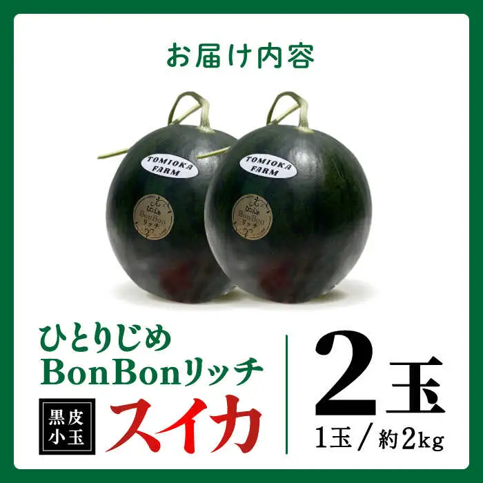 先行予約 ひとりじめBonBonリッチ黒皮小玉スイカ2玉すいか西瓜ZEM002