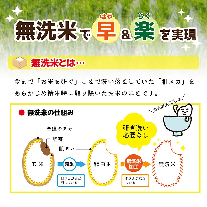 SG0174　【6回定期便】無洗米 6銘柄食べ比べ　5kg×6回(計30kg)　ミルキークイーン、つや姫、はえぬき、ひとめぼれ、お香わり、雪若丸 AG
