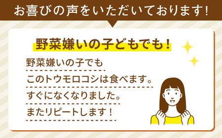 【全2回定期便】【2024年6月中旬以降順次発送】果物みたいに『極甘』早朝収穫 とうもろこし Lサイズ(300g)×5本 糸島市 / 有限会社ウラタ農園 [ALI005]