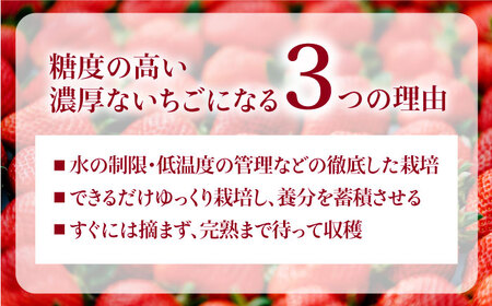 【先行受付】完熟 冷凍 あまおう 1kg 【2027年3月以降順次発送】糸島市 / slowberry strawberry [APJ006] あまおう いちご 果物 冷凍 冷凍あまおう フルーツ 果物 苺 