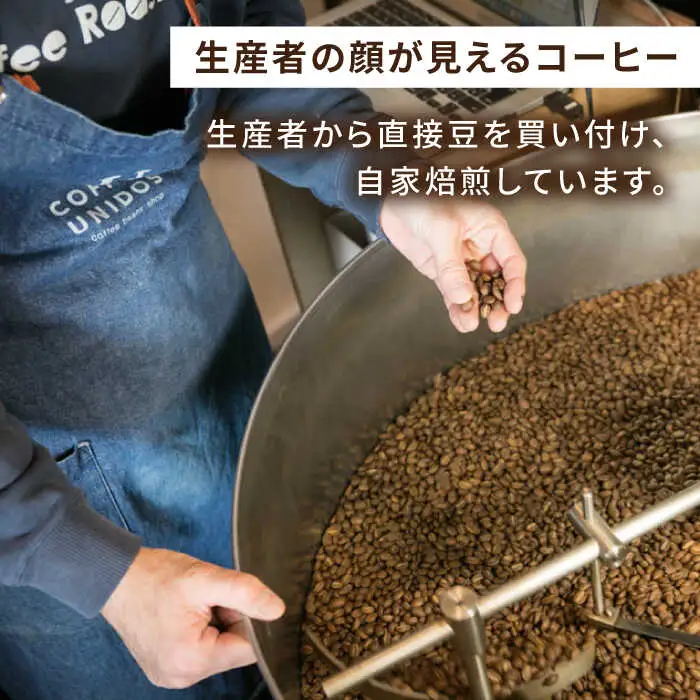 【全12回定期便】中煎り コーヒー 豆 ウニドスブレンド 250g × 2袋 ( 豆 ・ 粉 選べます ) 糸島市 / COFFEE UNIDOS [AQF023]
