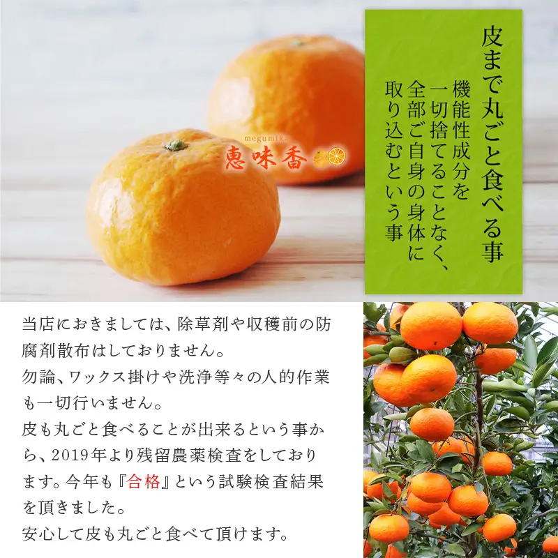 『先行予約』【令和9年2月上旬発送】果皮も丸ごとガブッ！味香みかん 10kg 新種のミカン