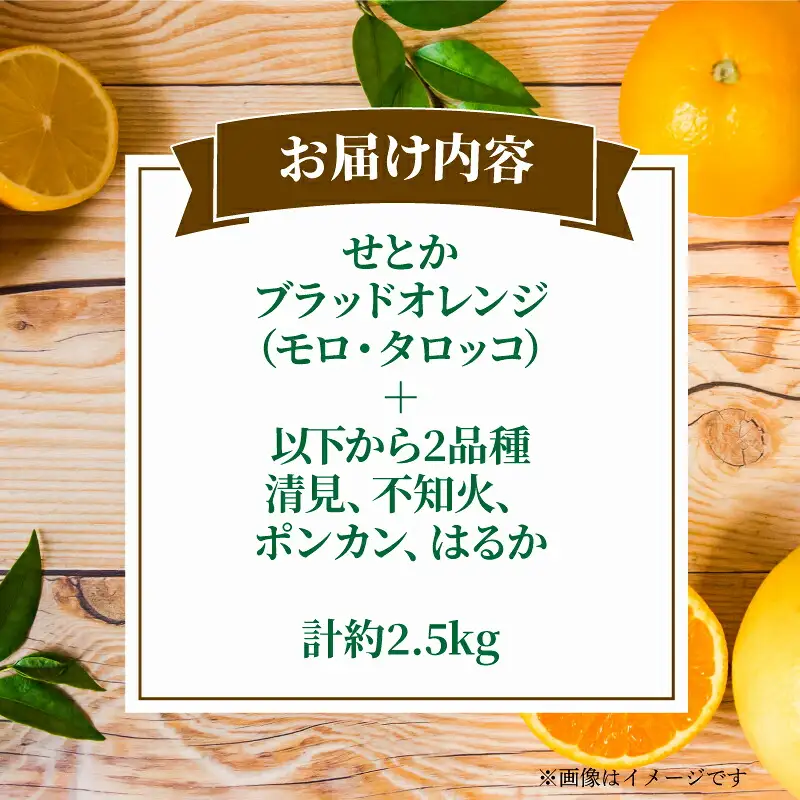 柑橘 詰合せ 2.5kg コルレオファーム 柑橘 B012-145007