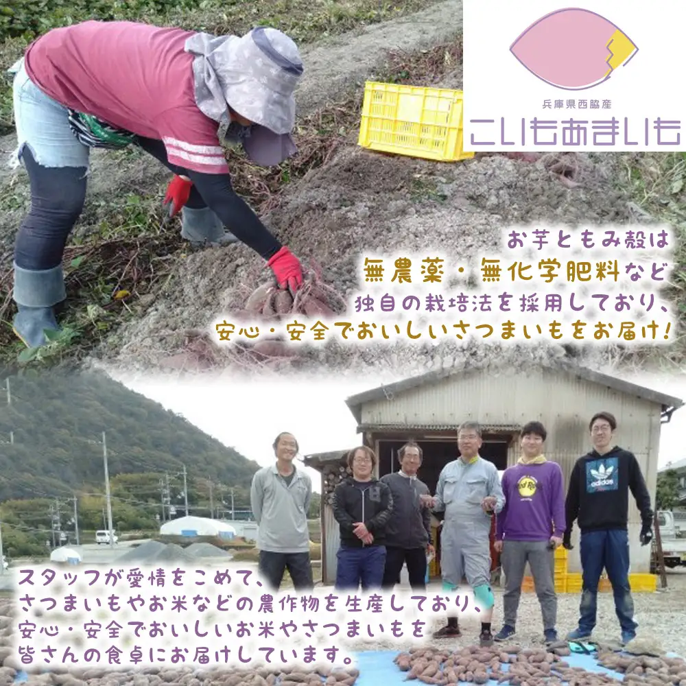 超熟成蜜芋「こいもあまいも」の冷凍カップパフェ3個セット（05-59）