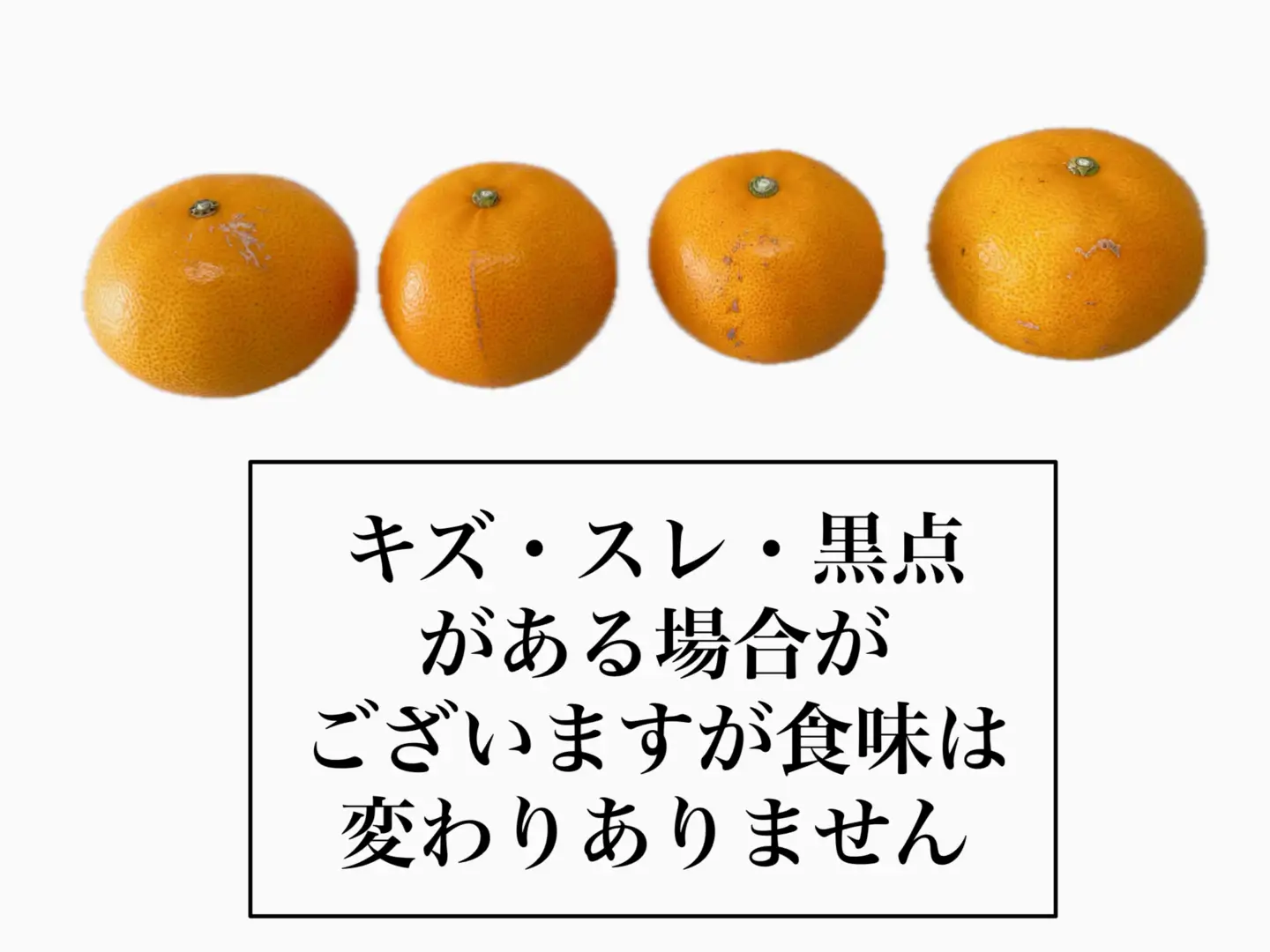 【2月中旬から順次発送】せとか 約5kg L～3Lサイズ ご家庭用 バラ詰め｜B193
