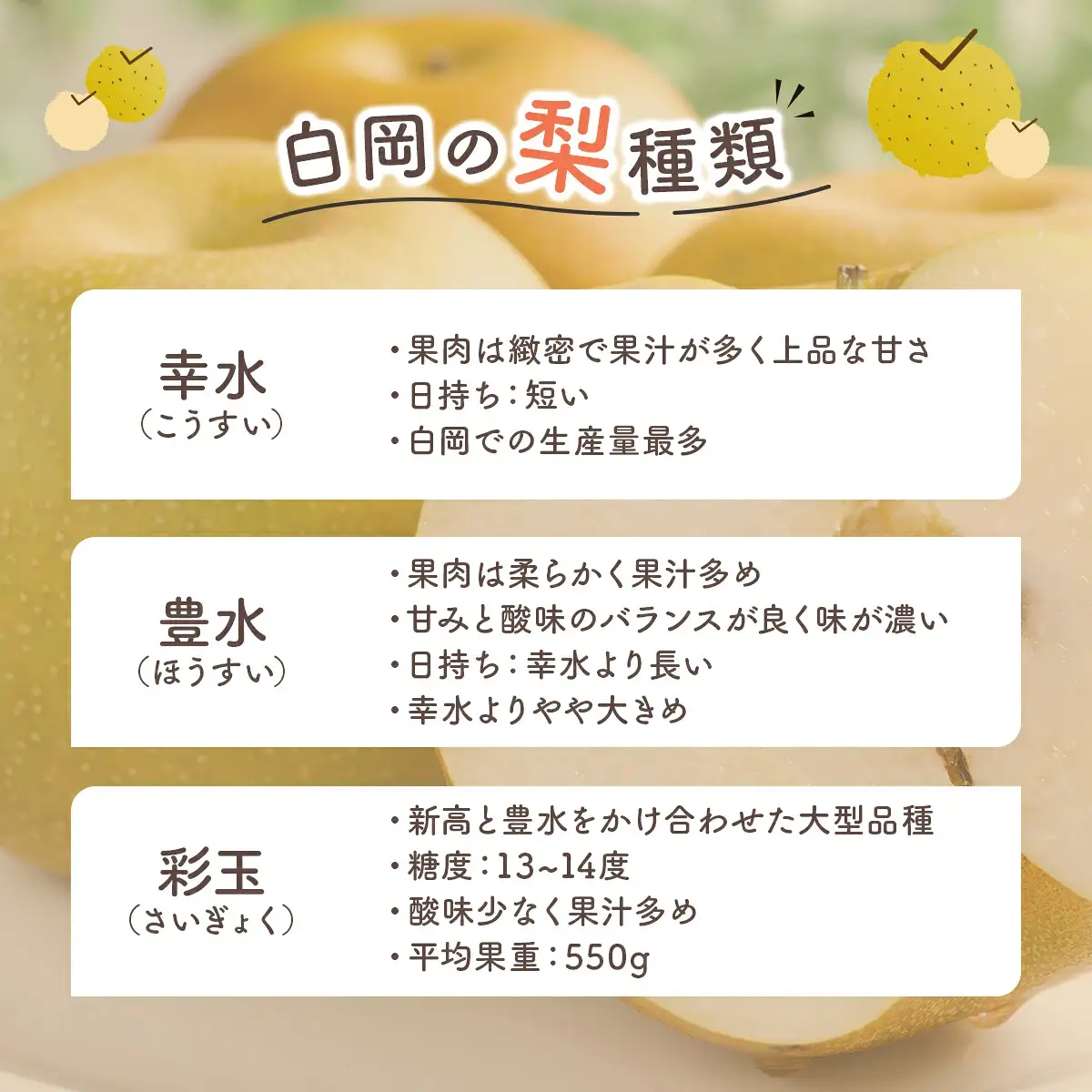 白岡の梨「白岡美人」あきづき梨約5kg（12～14玉）　【11246-0084】