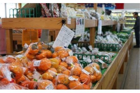 【3か月定期便】 厳選・「おおばん市場」旬の野菜詰め合わせ