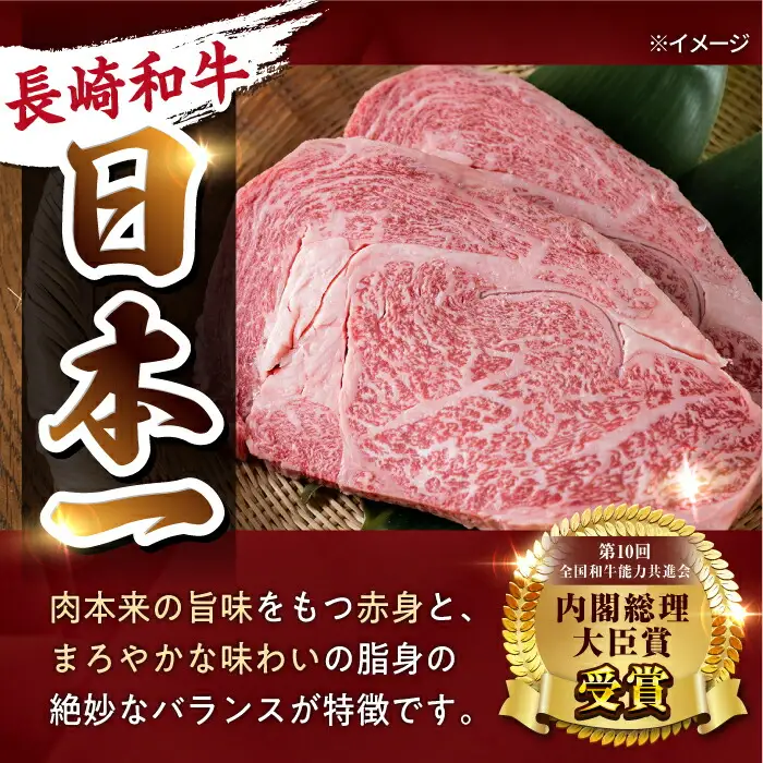 【日本一の赤身肉】 ヒレステーキ 長崎和牛 計300g以上 （約150g×2枚）【肉のマルシン】 [FG09] ヒレステーキ 赤身ステーキ あかみすてーき ヒレステーキ ヒレステーキ 赤身ステーキ ひれすてーき  