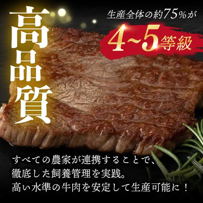 【12回定期便】【限定生産】ステーキ 3種盛り 長崎和牛 出島ばらいろ（300g/回）【肉のマルシン】 [FG19] 肉 牛肉 ロース カルビ モモ 赤身 ステーキ 焼肉 定期便