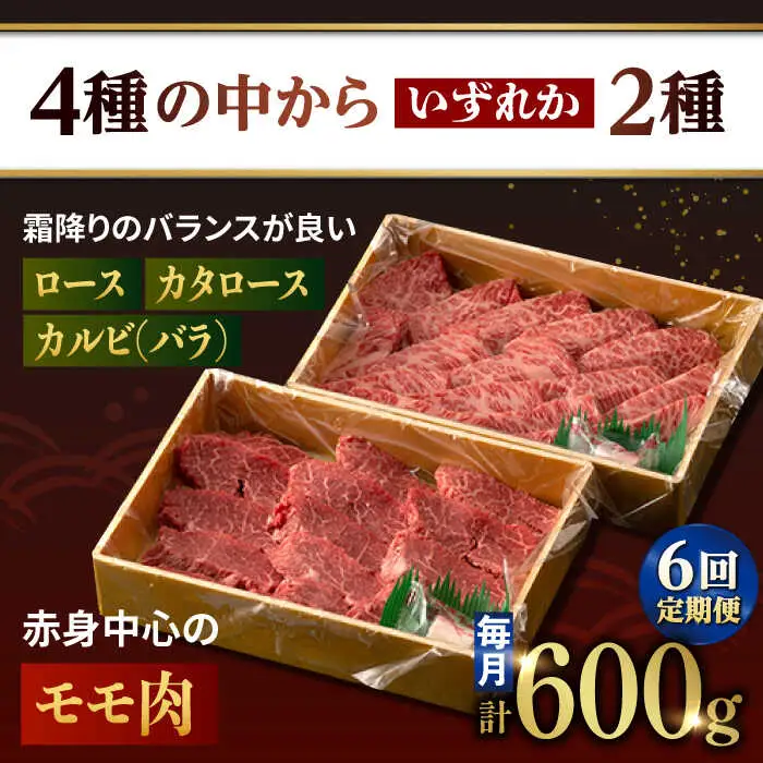 【6回定期便】【限定生産】特選 焼肉 2種盛り 長崎和牛 出島ばらいろ ロース カルビ カタロース モモ（600g/回）【肉のマルシン】 [FG36] 肉 牛肉 焼き肉 赤身 バーベキュー BBQ 定期便