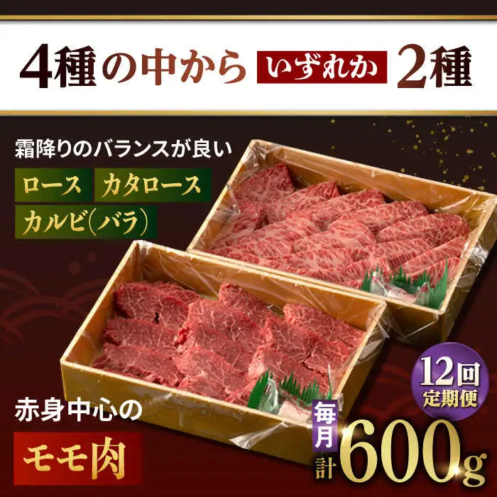 【12回定期便】【限定生産】特選 焼肉 2種盛り 長崎和牛 出島ばらいろ ロース カルビ カタロース モモ（600g/回）【肉のマルシン】 [FG37] 肉 牛肉 焼き肉 赤身 バーベキュー BBQ 定期便 九州 九州産