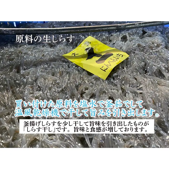 しらす干し　780g（130g×6パック）【茨城県共通返礼品 大洗町】 No.434
