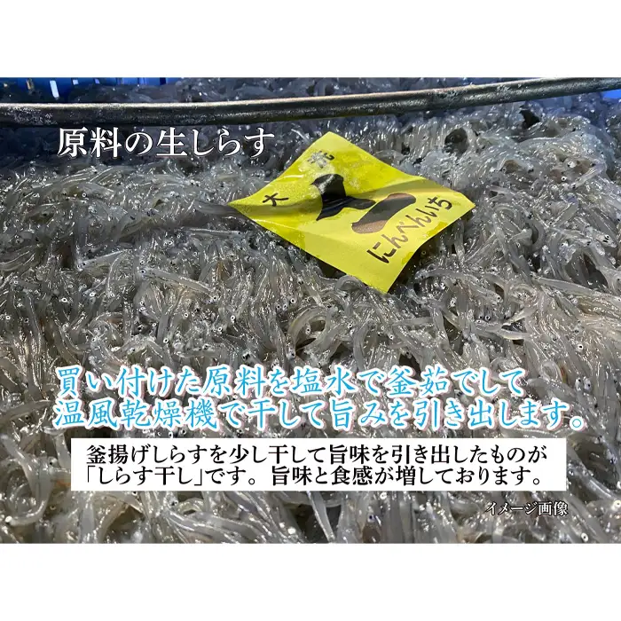 しらす干し　1040g（130g×8パック）【茨城県共通返礼品 大洗町】 No.442