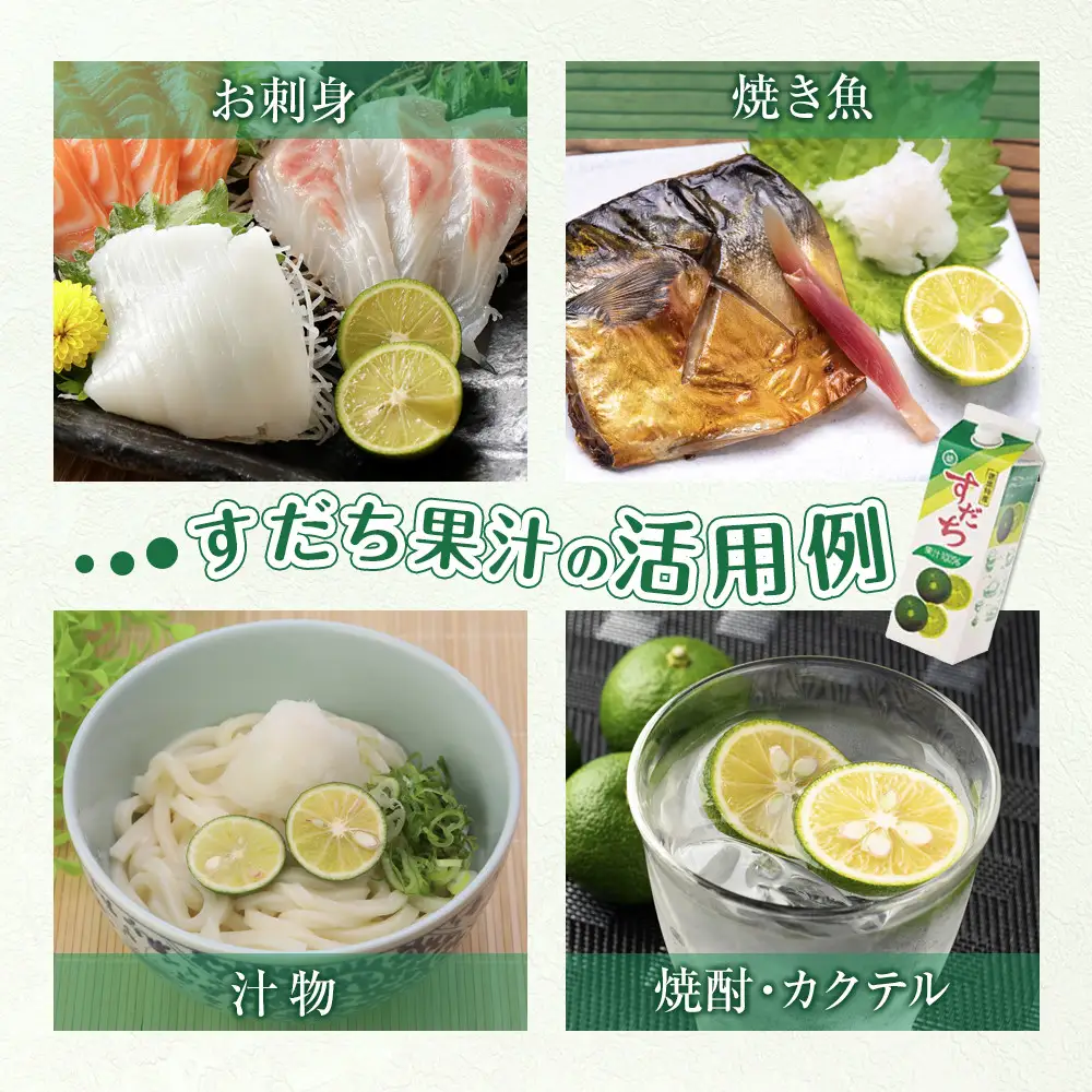 すだち果汁 2L（ 1L × 2本 ）スダチ  調味料 徳島県 そうめん 鍋料理 焼酎 豆腐 焼き魚 ジュース