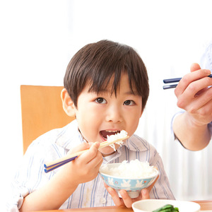 【定期便12ヶ月】新潟市産コシヒカリ 白米 5kg お米 精米 ご飯 代表 自然 飽きない 自信 美味しい 