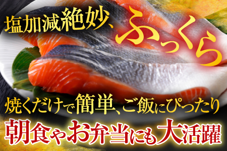 お刺身トラウトサーモン2～5本(計1kg)＆塩銀鮭切り身1切(約70g)×25P C-09045