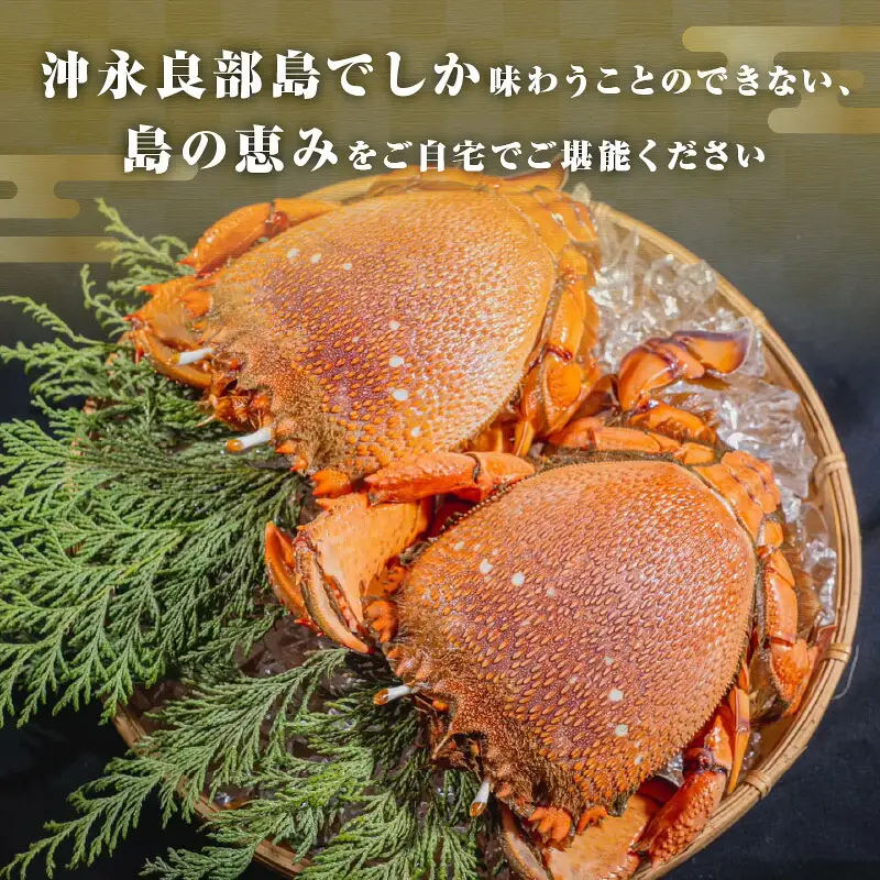 沖永良部島直送！素潜り漁師オススメの冷凍アサヒガニ1キロ（2～4杯） W030-007u 冷凍 海鮮 カニ
