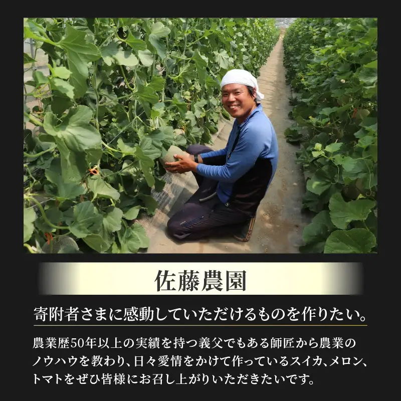 【先行予約】佐藤農園の小玉スイカ ピノガール 2玉（計3kg以上）／福井県 あわら市 フルーツ 夏 果物 西瓜 秀品 農家直送 有機肥料 低農薬 佐藤農園 ※2027年5月下旬～6月末の間に順次発送 [aw069-a014]