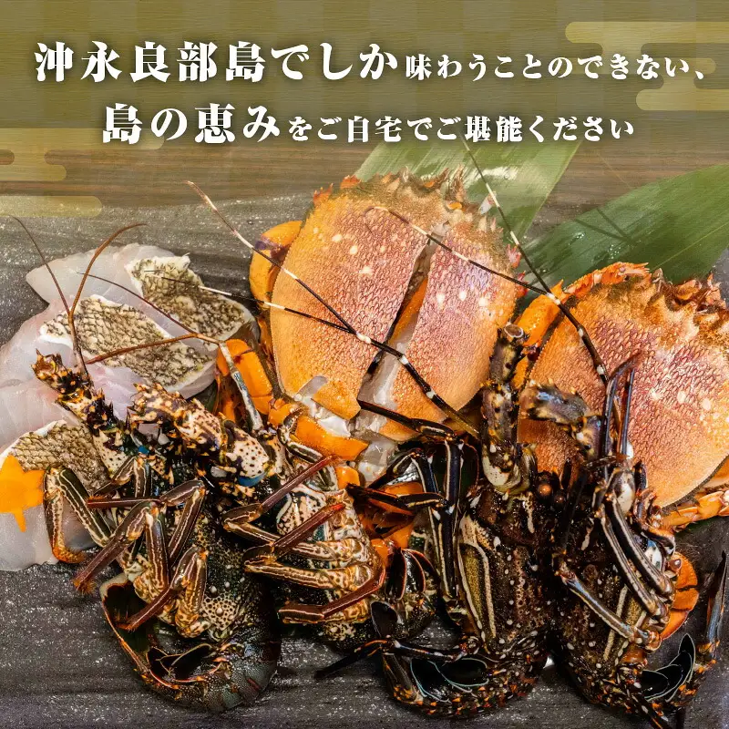 沖永良部島直送！素潜り漁師オススメの天然島魚 海鮮鍋セット4.2キロ（6～8人前） W030-014u 魚 冷凍 海鮮