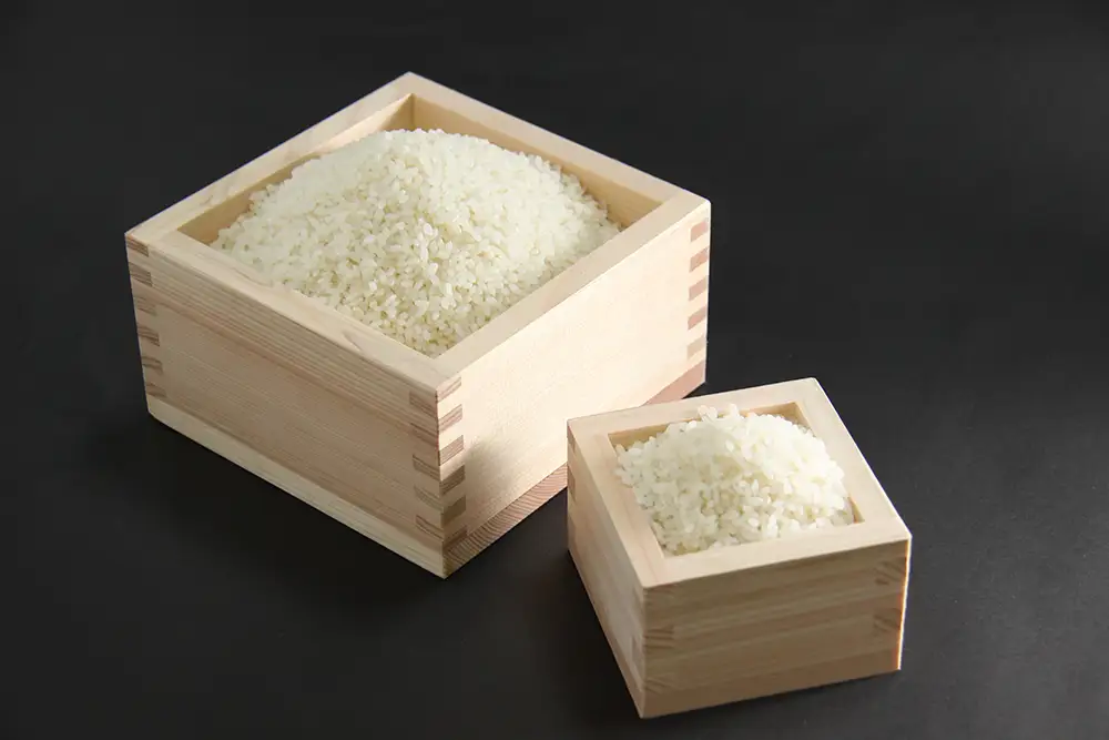 【新米】令和8年産　近江米　コシヒカリ 白米【10kg（5㎏×2袋）】【V012W2】 こしひかり 近江米