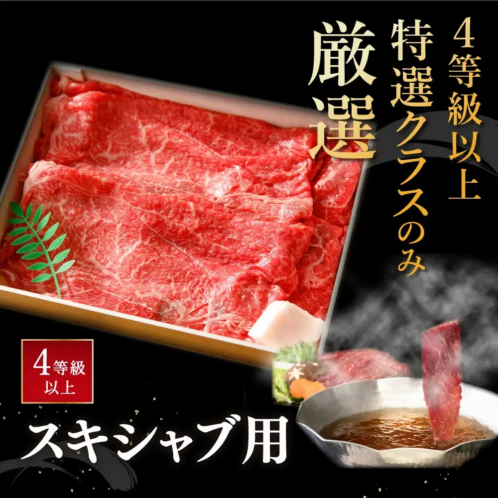 近江牛 すき焼き しゃぶしゃぶ 赤身 500g 【H002W】 牛肉すき焼き