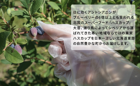 厚岸産 冷凍ハスカップ 750g×2袋 ビタミン ハスカップ