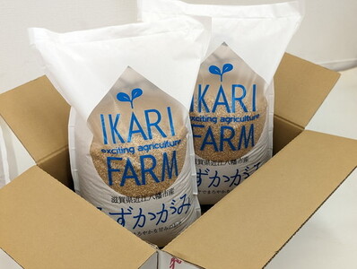 【新米】令和8年産 冷めても美味しいあっさりとした味わい「みずかがみ」玄米【10kg（5kg×2袋）】【C018W2】近江米 みずかがみ