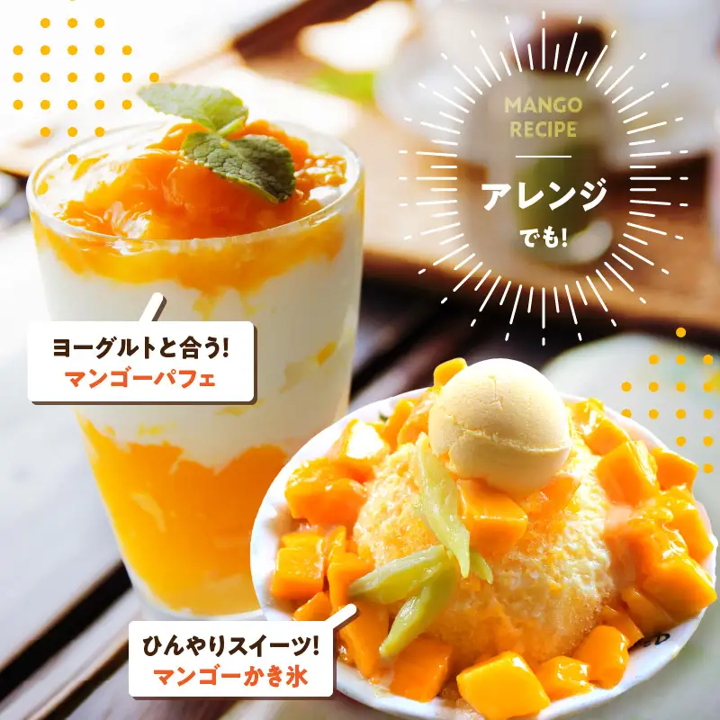 JAみやざき宮崎中央地区本部管内産 宮崎県産 冷凍マンゴー 約270g マンゴー フルーツ 果物 デザート おやつ ヨーグルト 冷凍フルーツ 南国フルーツ カット済み 冷凍 お取り寄せ