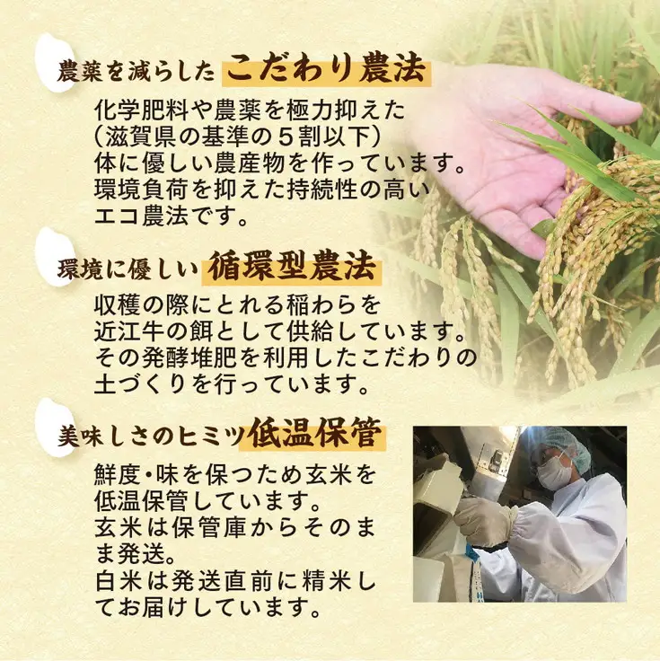 【新米】令和8年産　すっごいもちもち 「しきゆたか」 玄米【10kg(5kg×2袋）】【C003W2】 しきゆたか