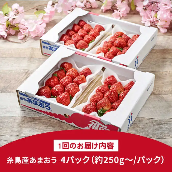 【先行受付】【全2回定期便】糸島産【春】 あまおう 4パック 計1kg 【2027年2月以降順次発送】糸島市 / 南国フルーツ株式会社 [AIK026] 