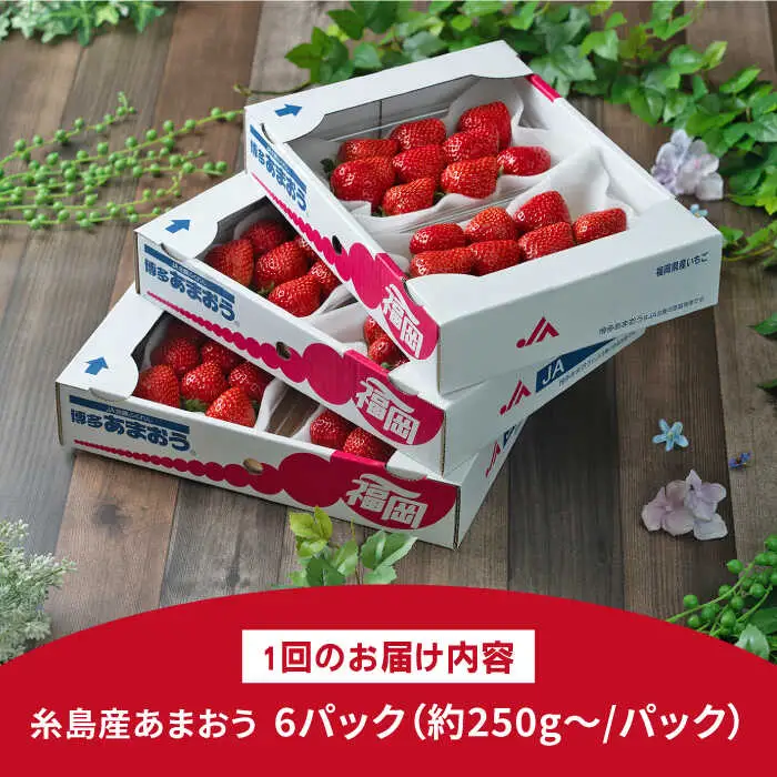 【先行受付】【全2回定期便】糸島産【春】 あまおう 6パック 毎月計1.5kg 【2027年2月以降順次発送】 糸島市 / 南国フルーツ株式会社 [AIK027]