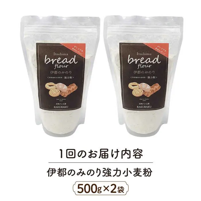 【全6回定期便】特別栽培 小麦 使用 伊都 の みのり( 500g × 2袋 )糸島市 / 天然パン工房楽楽【いとしまごころ】 [AVC067]