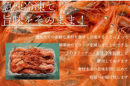 【数量限定】北海道苫前産 シマエビ 1kg（500g×2） しまえび 縞海老 えび 海老 正月 海鮮 魚介類 刺身 ボイル 小分け 急速冷凍 3Dフリーザー 北海道 苫前町 とままえ kit13