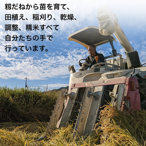 【定期便】【令和6年産先行予約】米 コシヒカリ 定期便 玄米 10kg×3カ月〈アグリにのうみ〉京都・亀岡産《令和6年産》 京都丹波産◇※北海道・沖縄・離島への配送不可※2024年10月中旬～11月中旬頃に順次発送予定