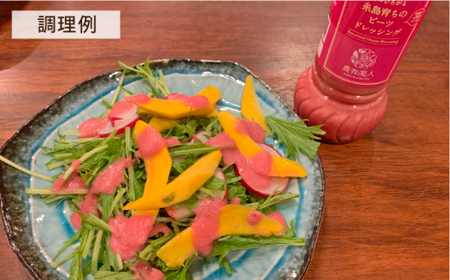 【 全6回 定期便 】糸島 そだち の ビーツ ドレッシング × 3本 セット 《糸島》【農香美人】[AAG031]