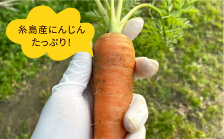 【 全12回 定期便 】農香美人 オリジナル にんじん 生 ドレッシング 285ml × 3本 セット《糸島》【農香美人】[AAG035]