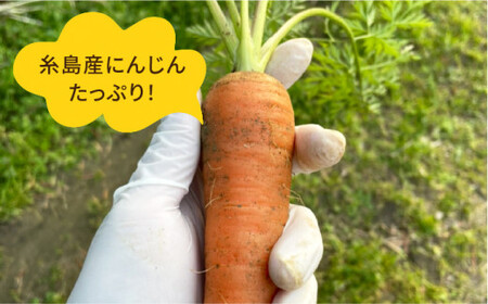 【全3回定期便】糸島 そだち の にんじん 生 ドレッシング （ 285ml × 1本 ）《糸島》 【農香美人】 [AAG048]