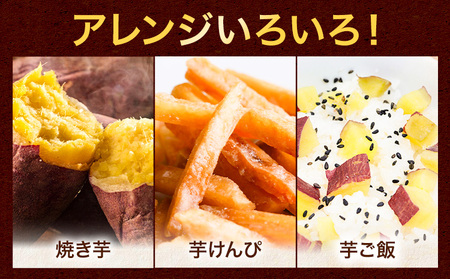 さつまいも 紅はるか 5kg《12月中旬-2月末頃出荷》熊本県 御船町 野菜 芋 さつま いも 焼き芋 送料無料