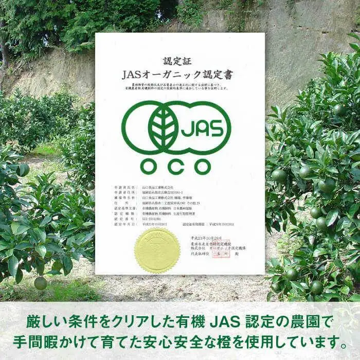 オーガニック だいだい 果汁 1L 《糸島》 【山口食品株式会社】 [ABI002]