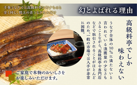 【定期便】幻の青うなぎ 蒲焼 2尾 全12回 定期便