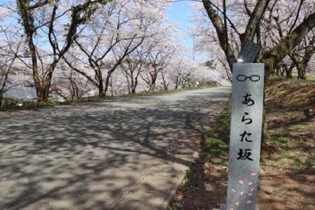【あわら市】JTBふるさと旅行券（紙券）450,000円分 / 北陸新幹線 あわら温泉 温泉 旅館 ホテル  旅行 トラベル 支援 宿泊 チケット 宿泊券 券 予約 クーポン 体験 北陸 福井県 あわら市   