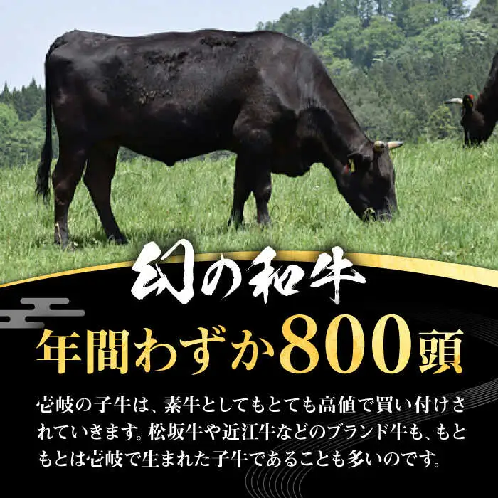 壱岐牛 モモブロック 500g［化粧箱付き］《壱岐市》【株式会社イチヤマ】 肉 牛肉 モモ ブロック ステーキ BBQ [JFE091] 25000 25000円